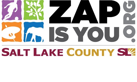 ZAP logo